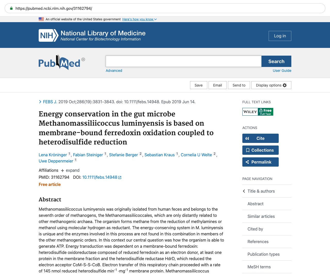 Screenshot — PubMed 31162794